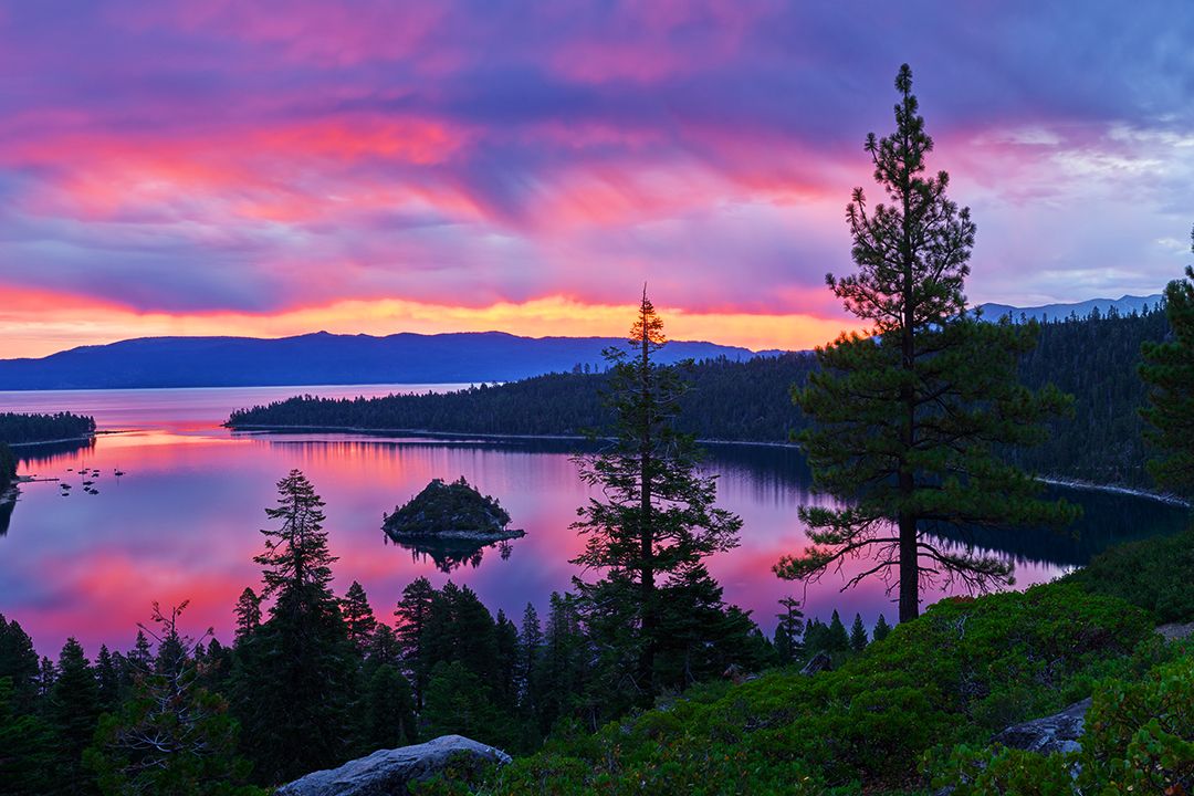Vivid pink-purple sunset over a calm lake with silhouetted evergreens and rocky shore