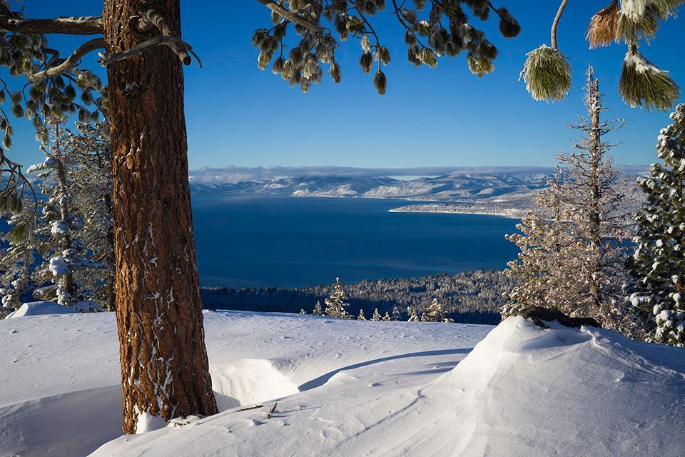 Snow-covered trees overlook a deep blue lake and distant mountains under a clear winter sky.