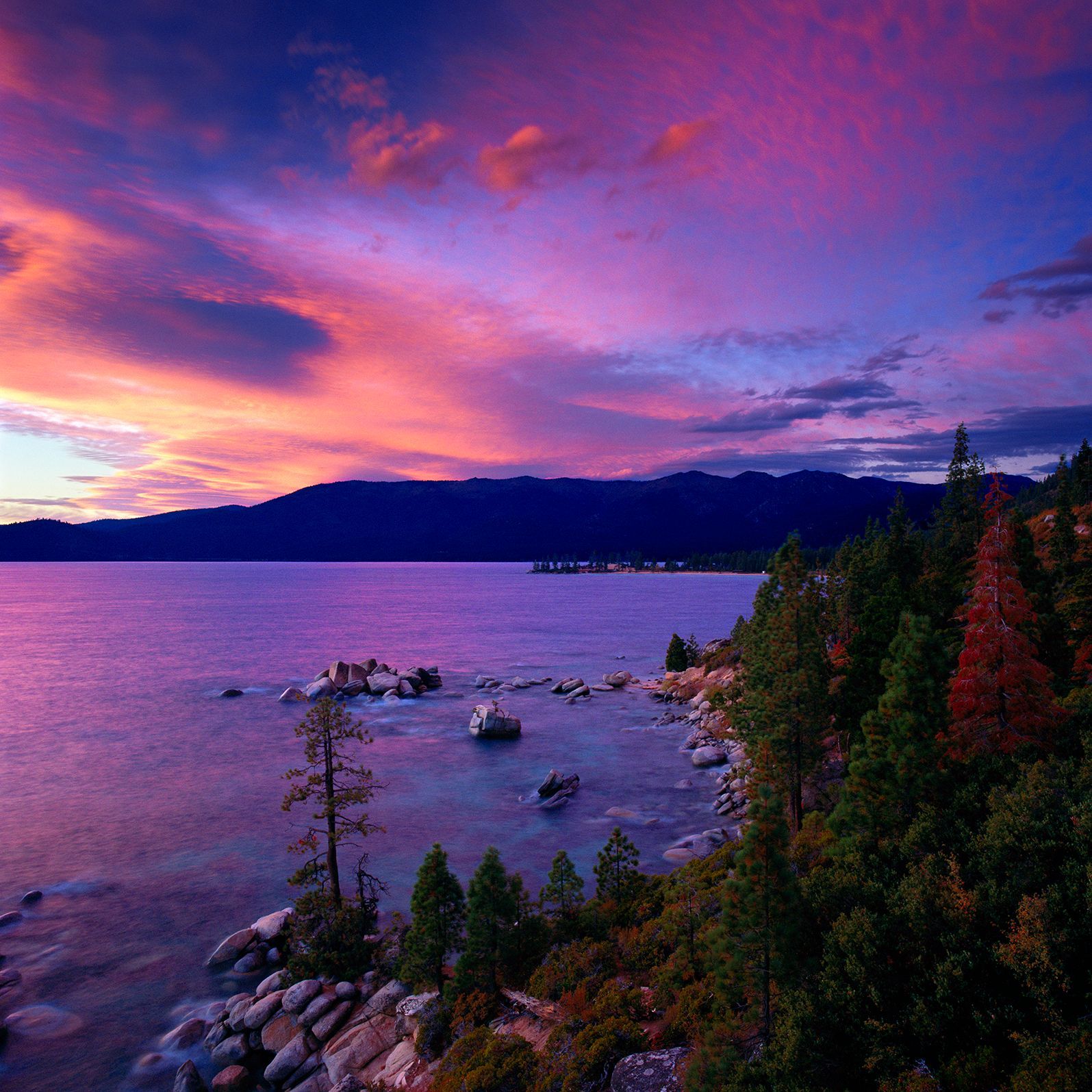 Purple sunset over a calm lake, with rocky shoreline, pine trees, and distant mountains