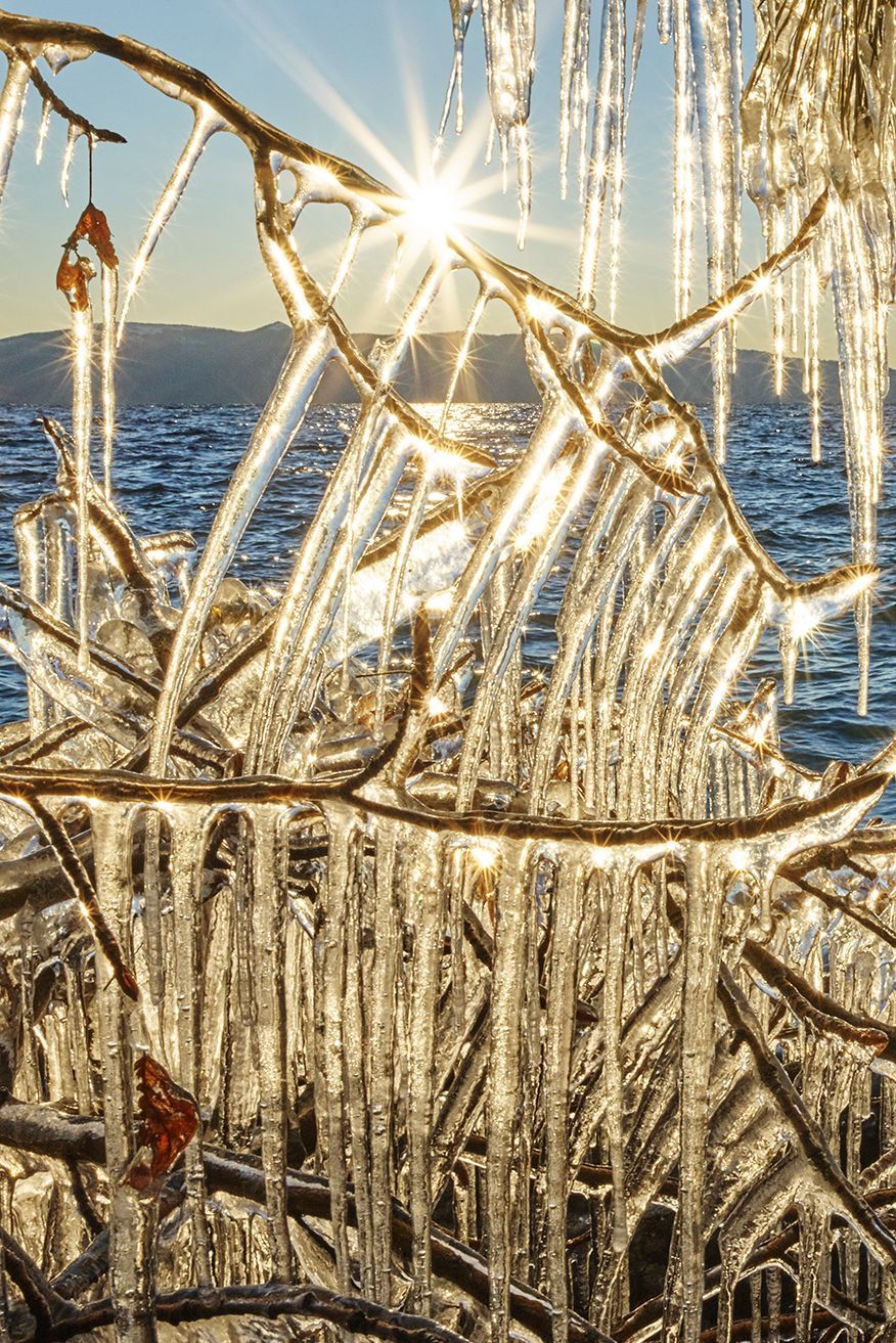 Sunlight glinting on frost-covered reeds by a shimmering lake