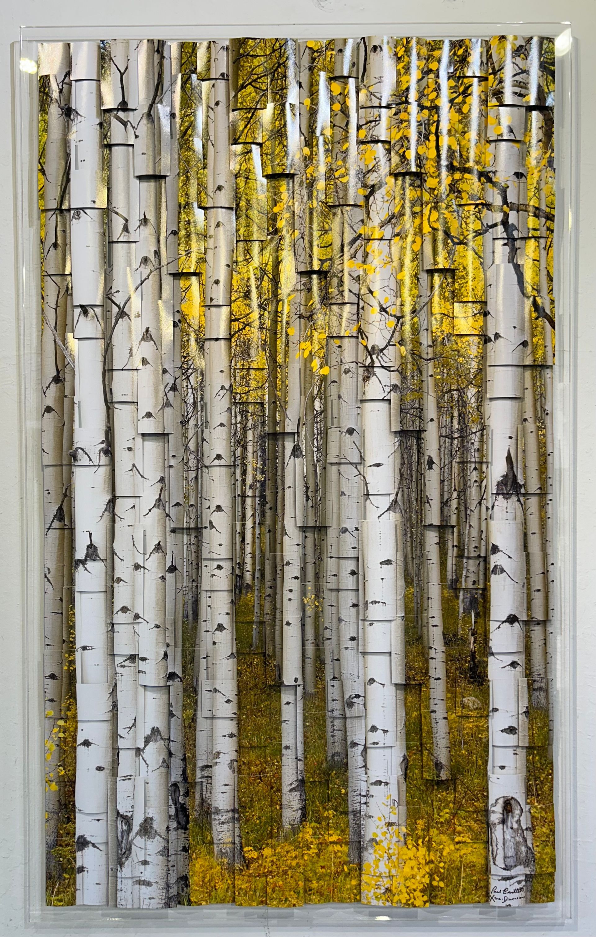 White birch trees with yellow leaves in a forest scene, framed like a painting