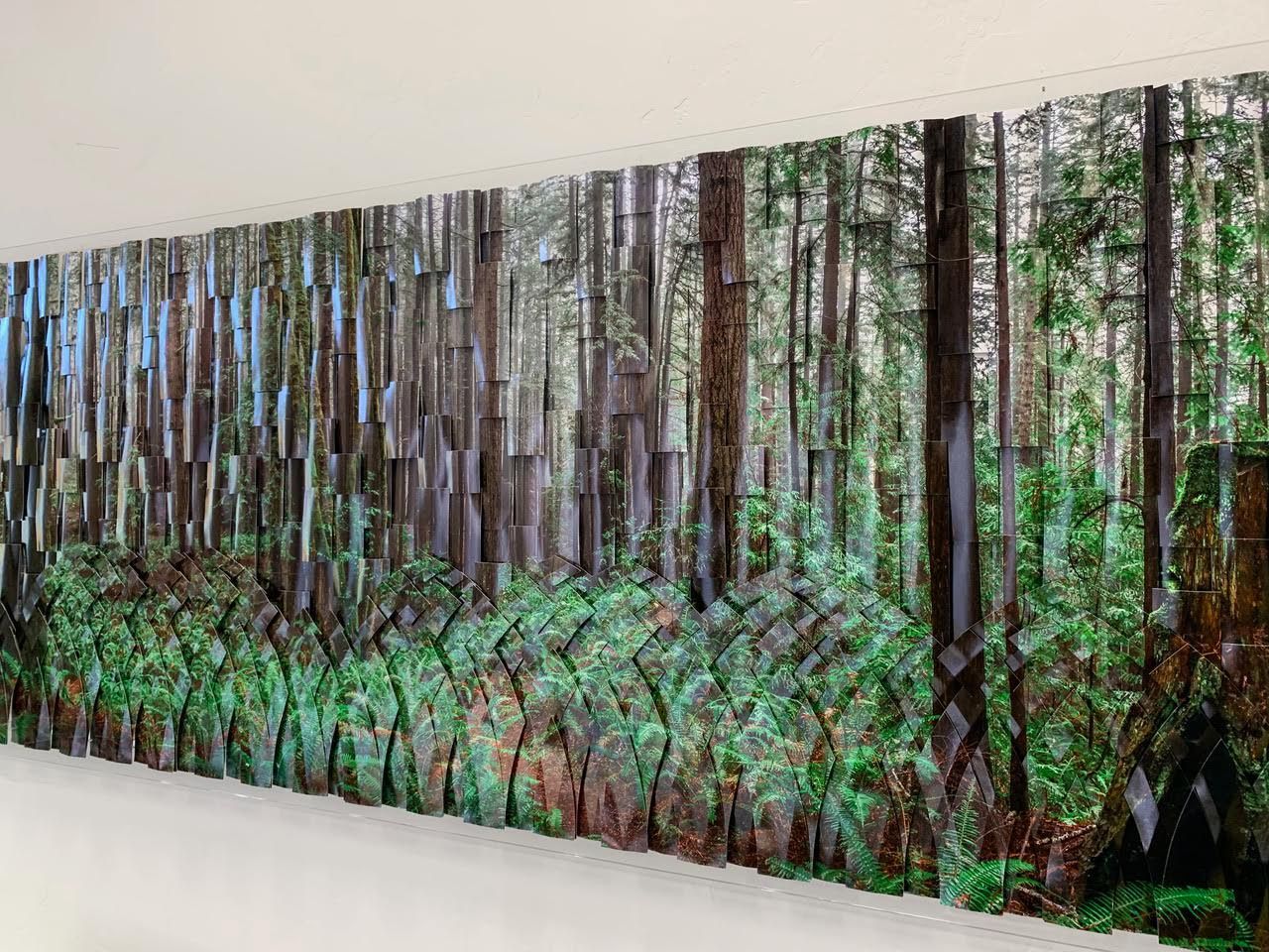 Panoramic forest mural with tall trees and green undergrowth in a hallway or gallery