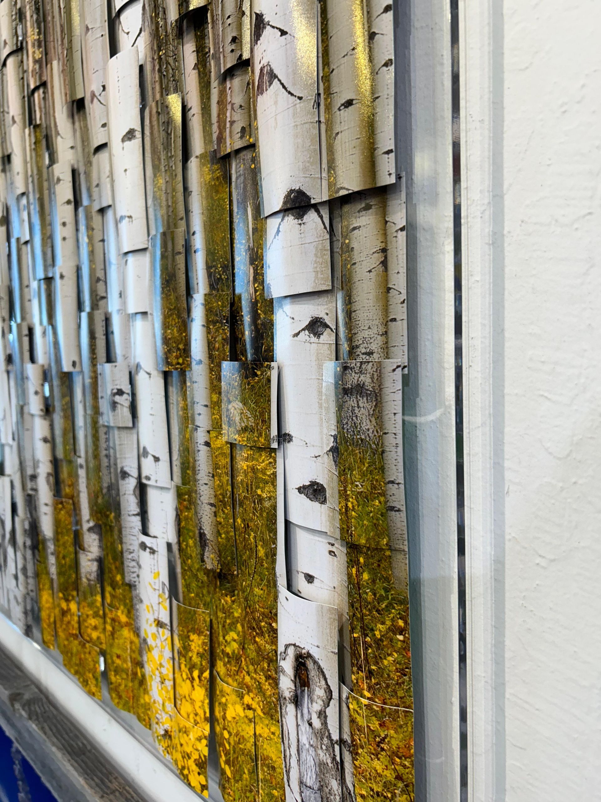 Close-up of weathered birch trunks behind glass, with yellow moss and a white wall edge on the right.