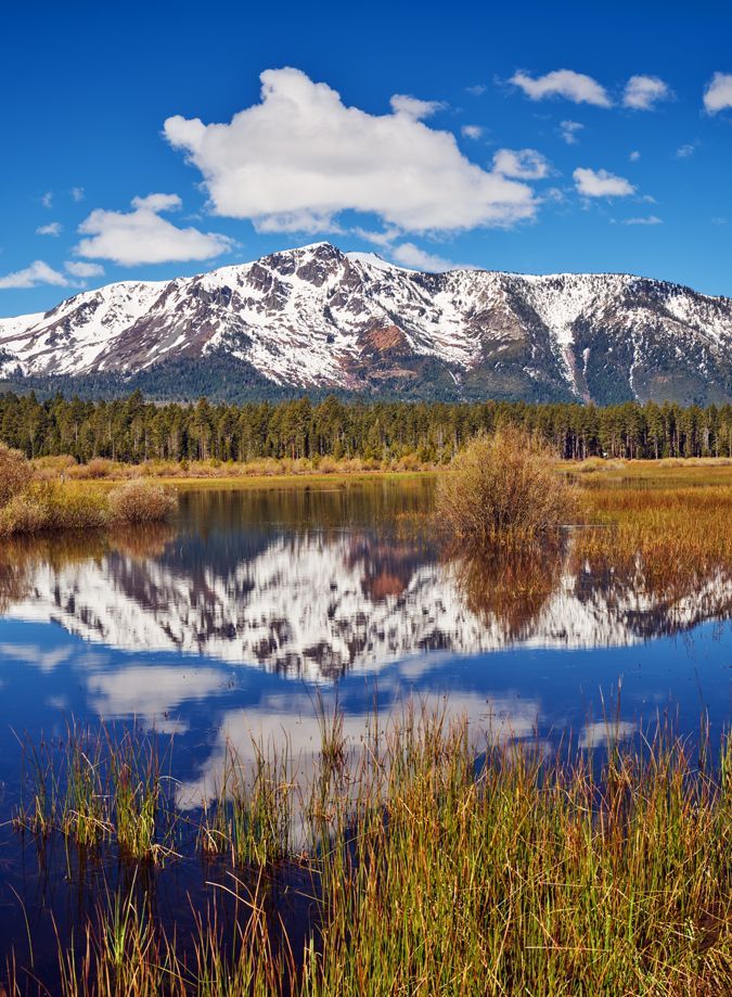 Snow-capped mountains reflected in a calm lake beneath a blue sky, with reeds in the foreground.