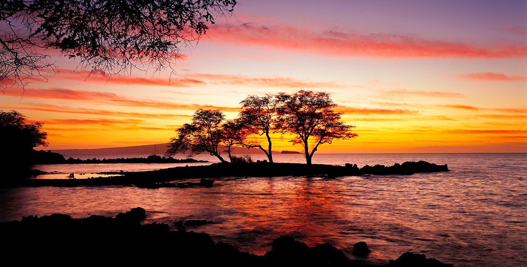 Sunset over calm water with silhouetted trees on a small island and orange-pink sky