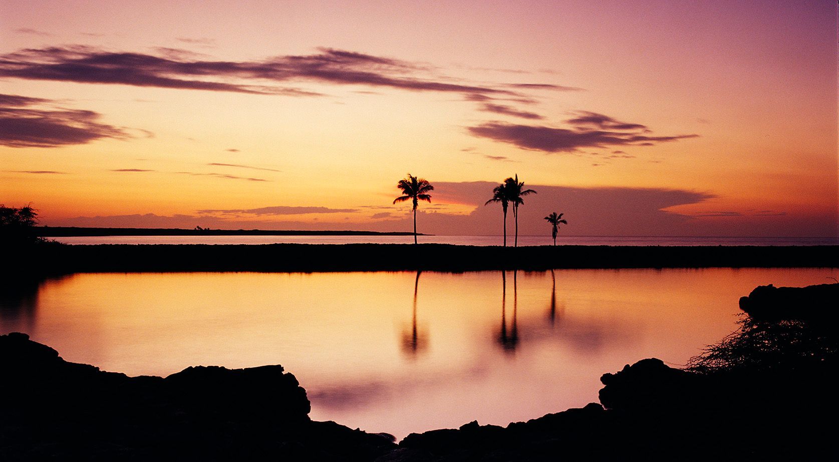 Sunset over calm water with silhouetted palm trees and pink-orange sky reflections