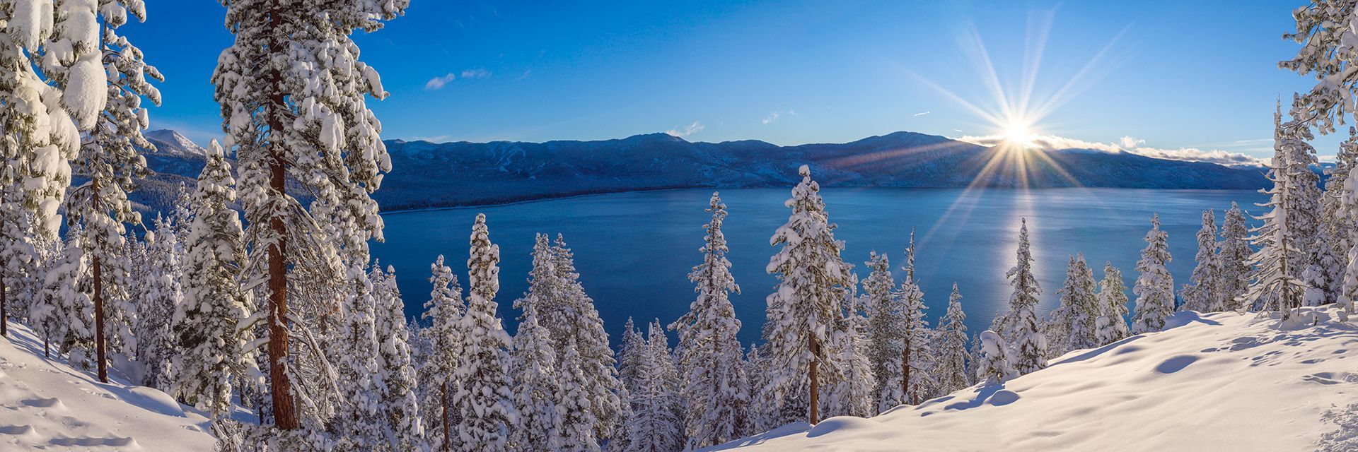 Snowy pine forest overlooking a frozen lake at sunrise, with bright sun over distant mountains.