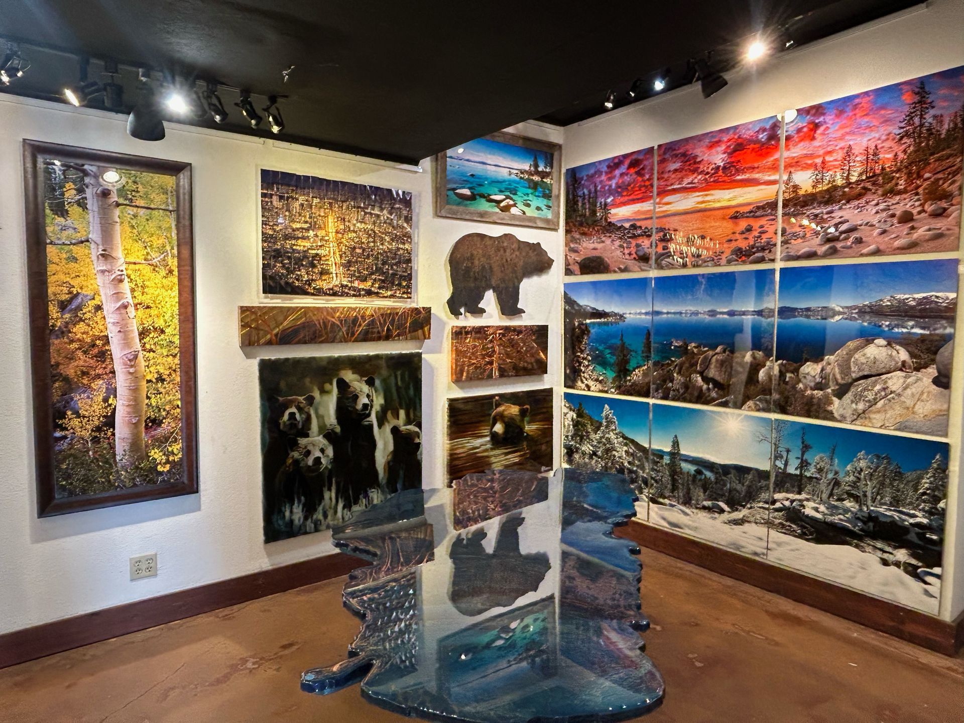 Art gallery wall of colorful landscape photos and wildlife prints around a transparent sculptural display