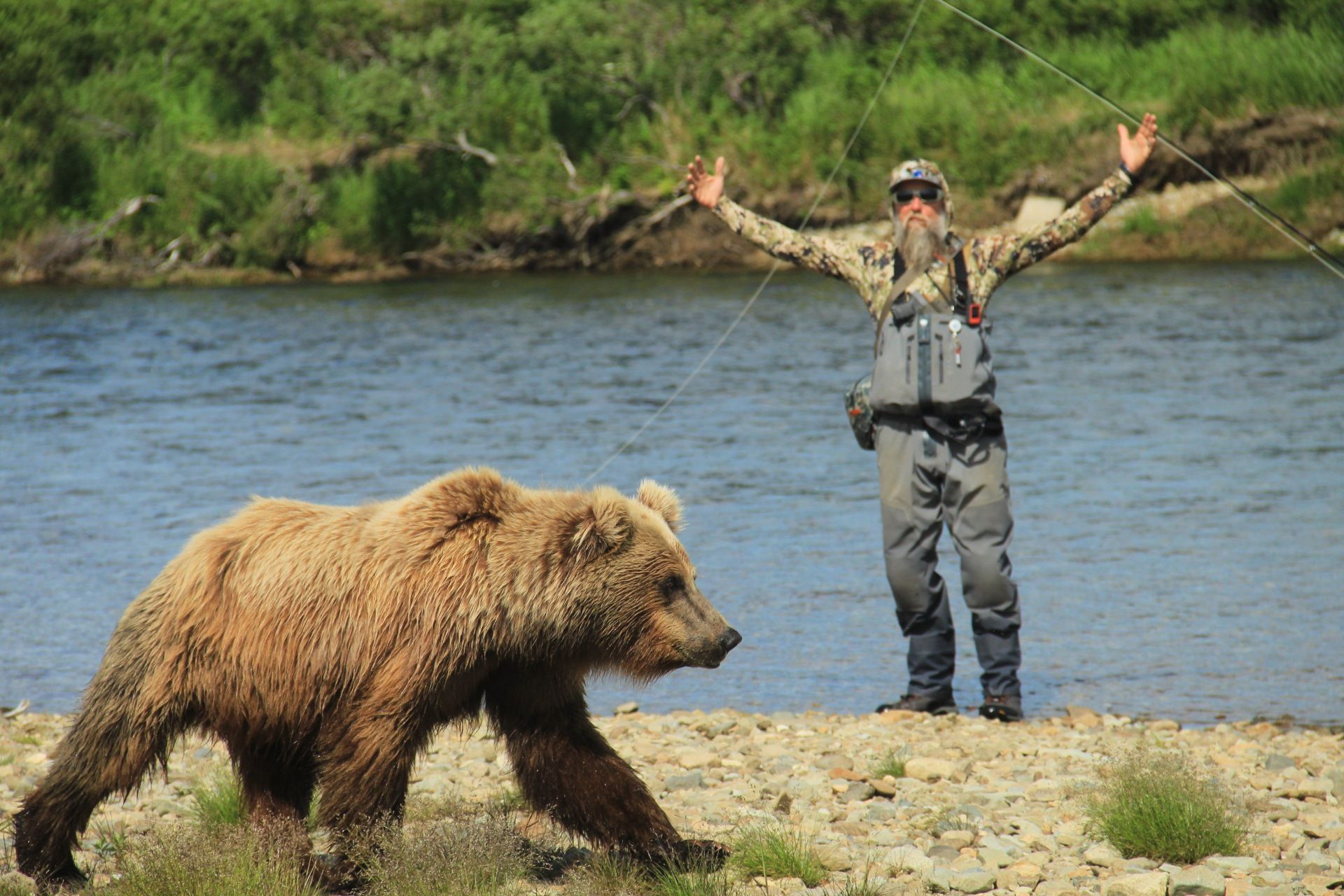 Grizzly bear on a riverbank facing a person with arms raised, beside blue water and trees
