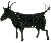 Ailwiesenhof - Ziegenkäse aus der Hofkäserei Holz
