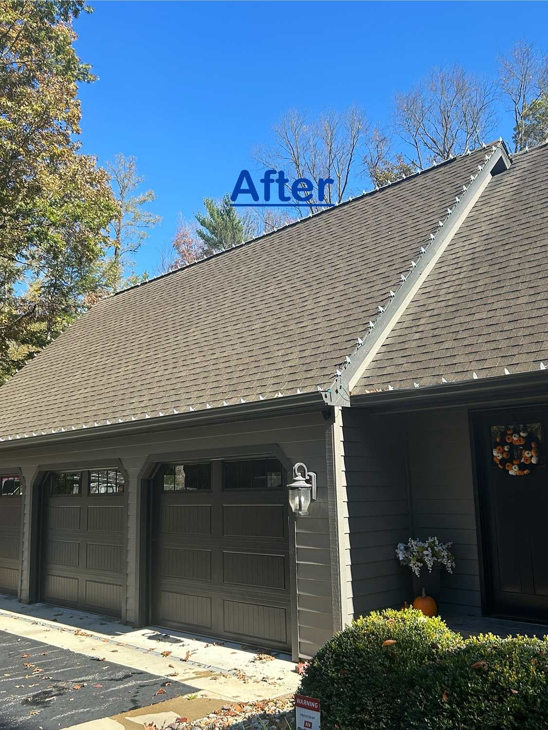 Roof After Cleaning