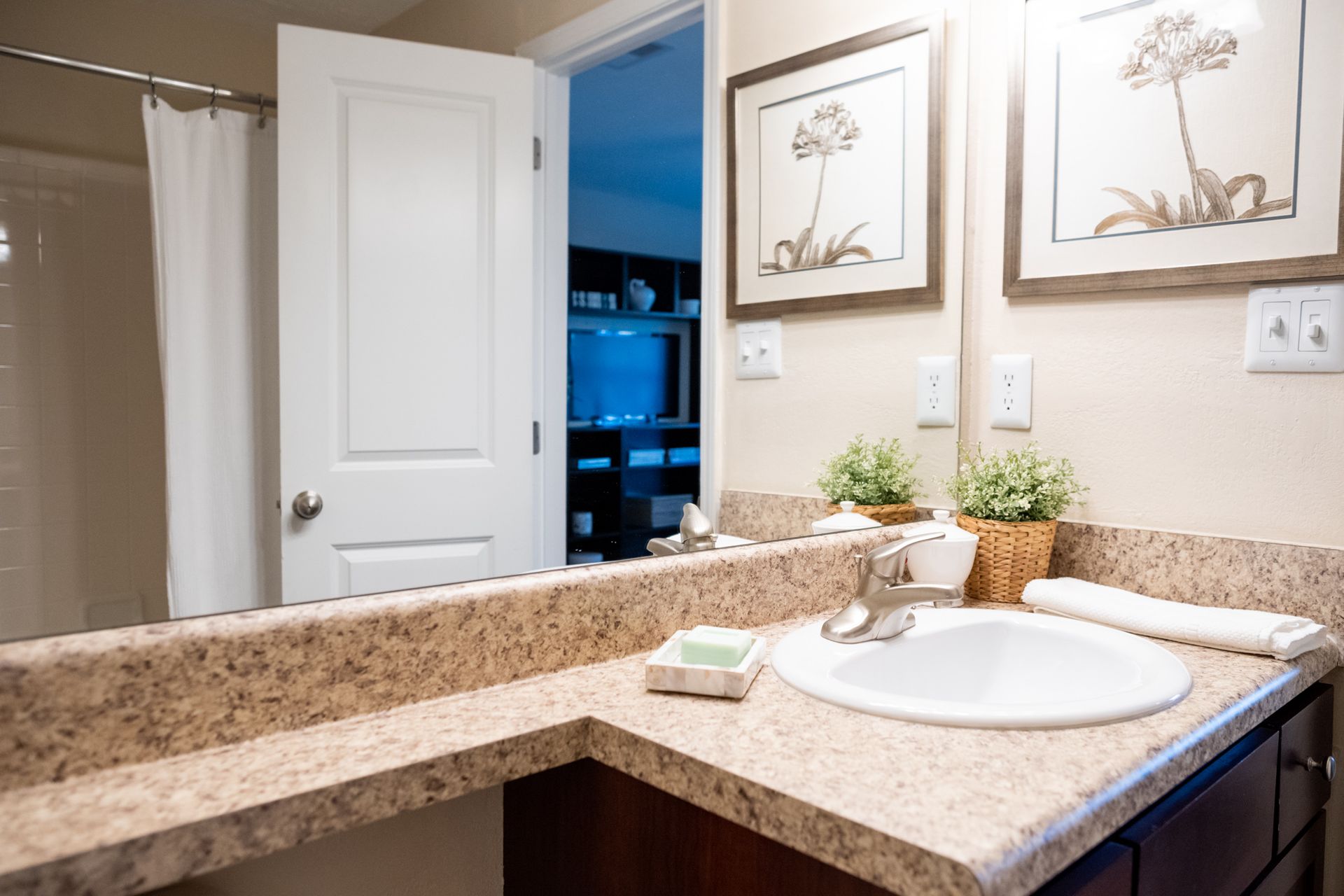 A bathroom with a sink , mirror and paintings on the wall.