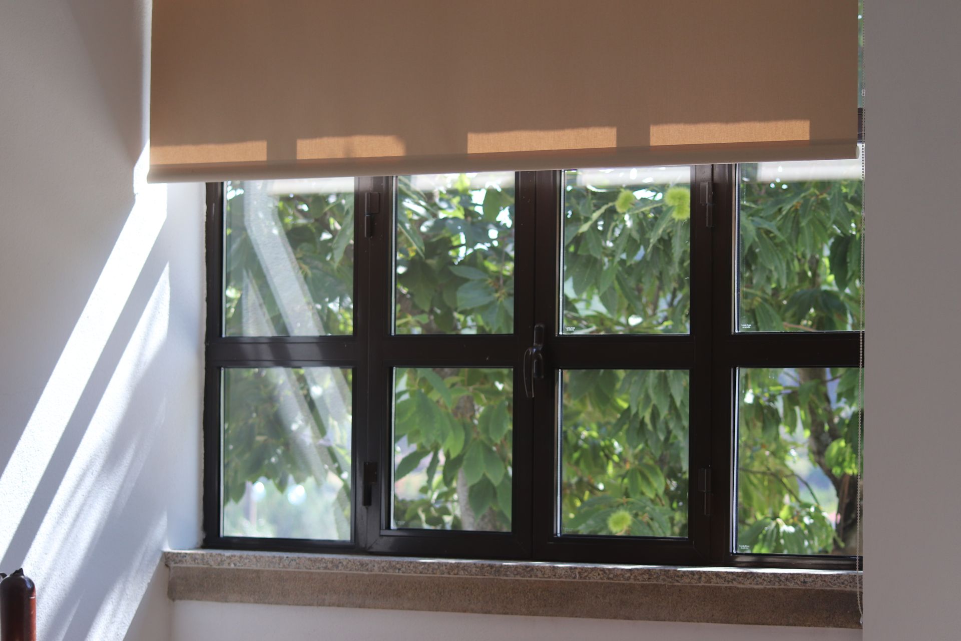 Janela com rebordos em quadriculados como as antigas escolas primárias, com vista para um castanheiro com folhas verdes.