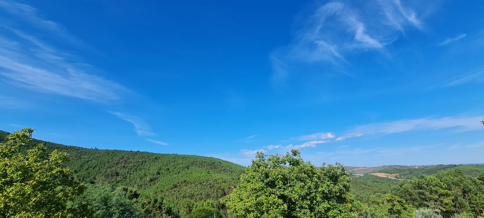 Vista de uma montanha de floresta verde, sob um céu de cor azul forte e algumas nuvens no horizonte. 