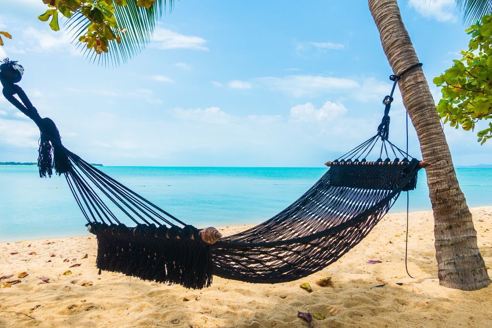 Black hammock between palm trees on a sunny tropical beach by turquoise water