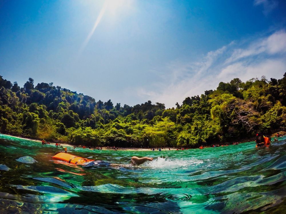 Snorkeler in turquoise tropical water with lush green shoreline and blue sky
