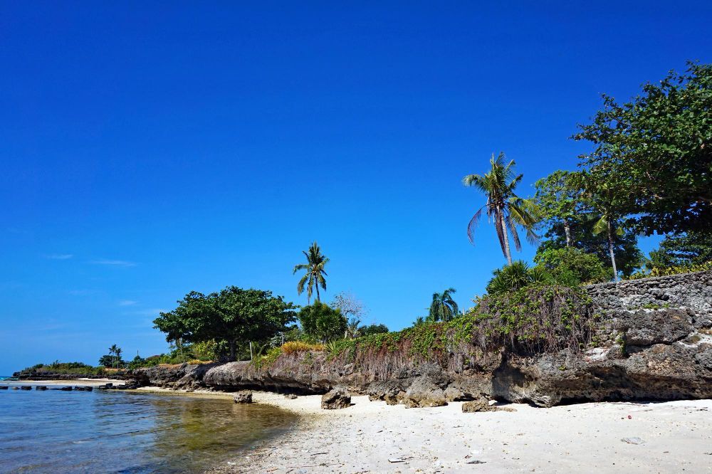 Tropical beach with white sand, rocky shore, palm trees, and bright blue sky