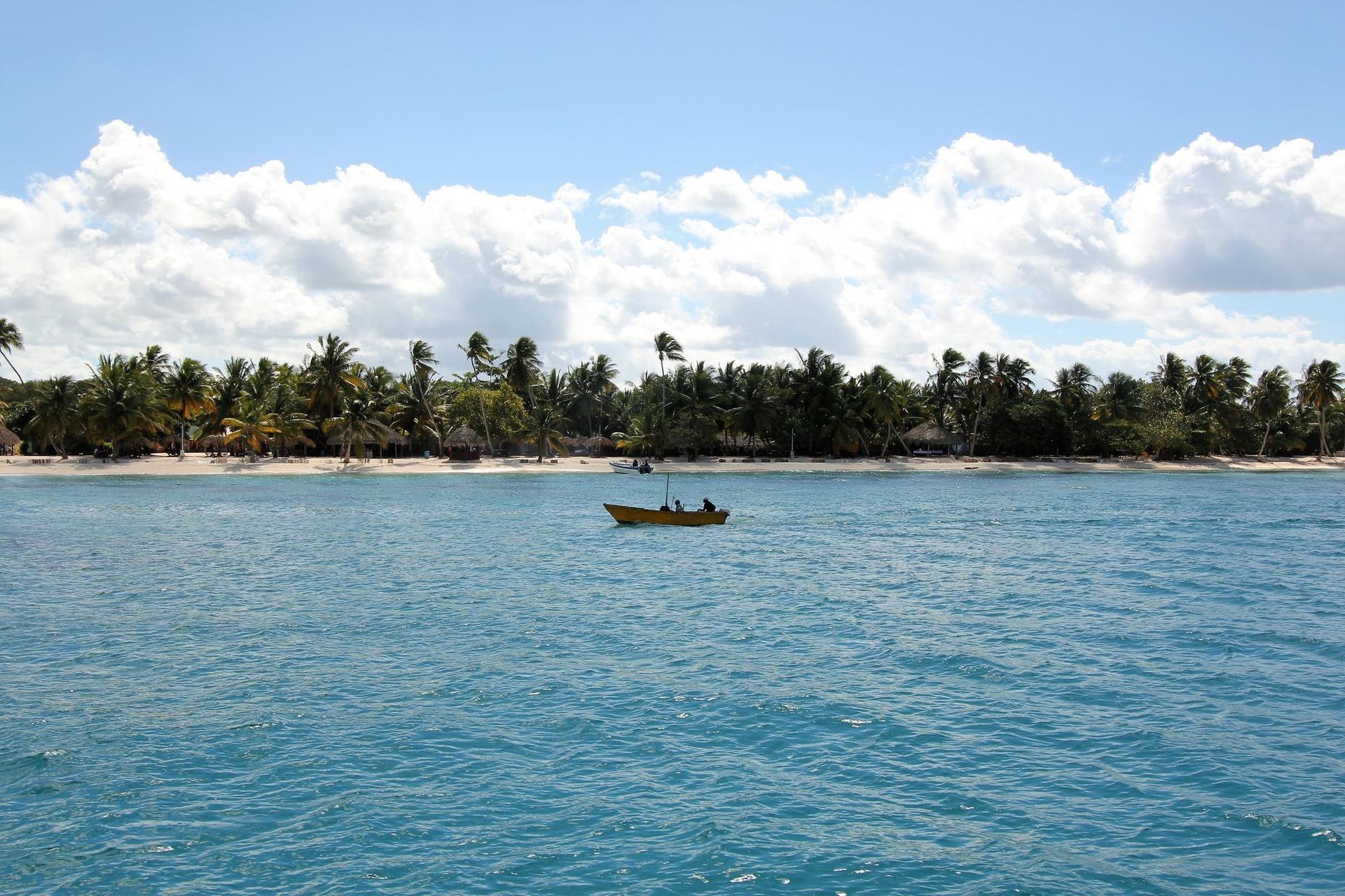 Small boat on blue water near a tropical palm-lined shore under cloudy sky