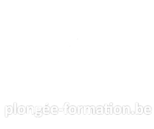 logo plongée-formation.be blanc sur un fond transparent