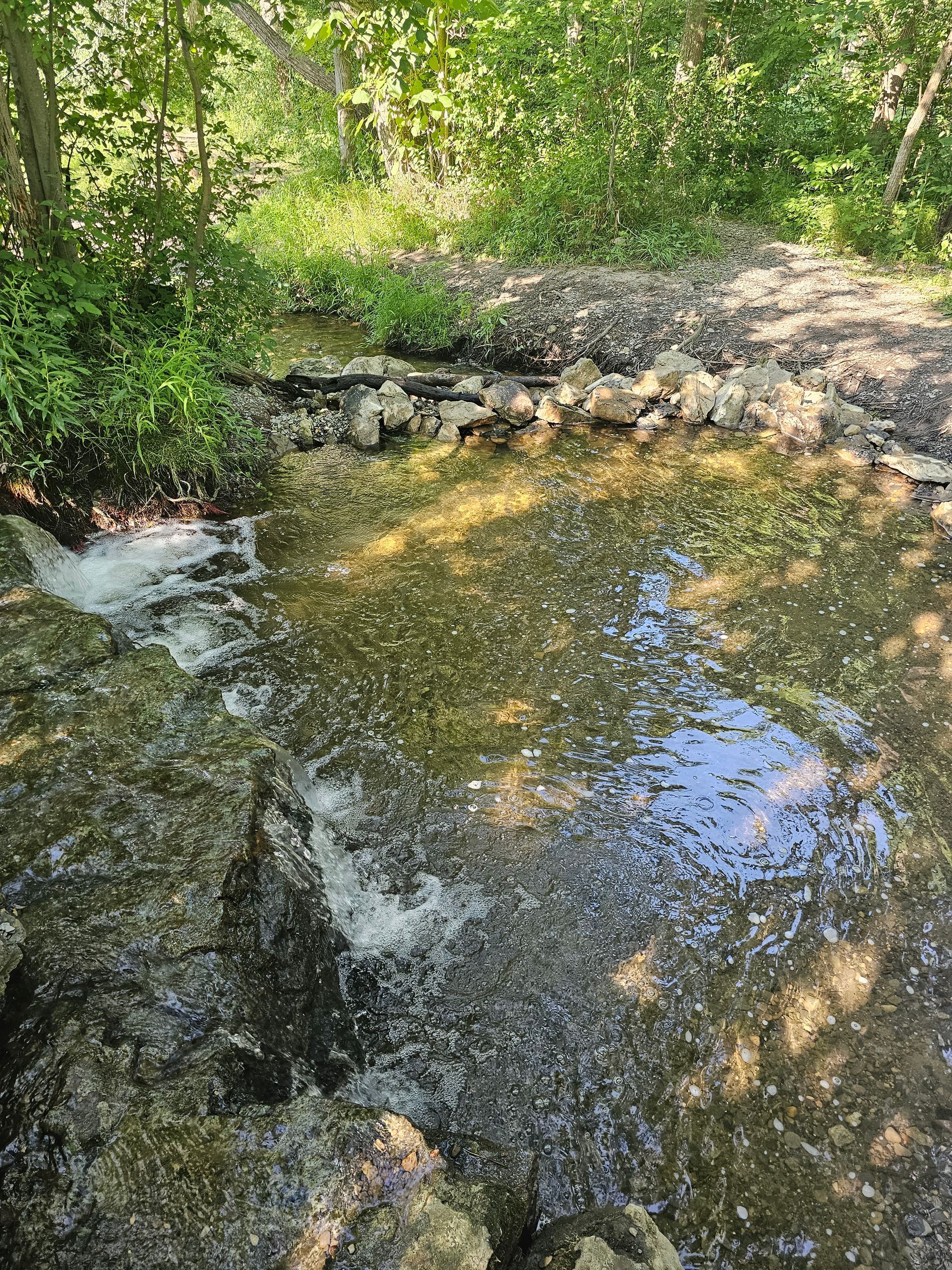 Small creek or pond in a wooded area, with rippling water and sunlight reflecting off the surface.