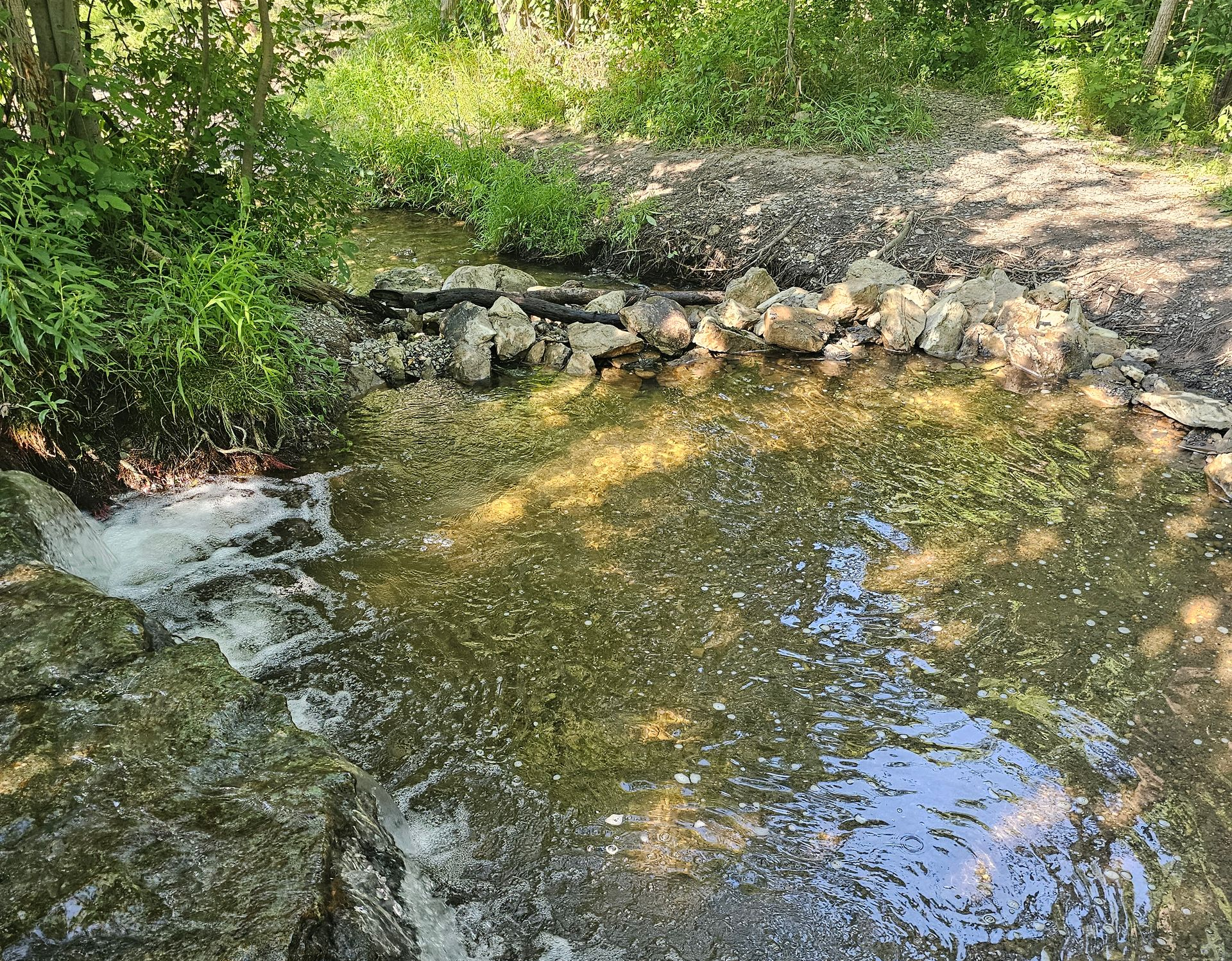 Shallow creek pool with sunlight reflections, rocks, and green foliage along the bank