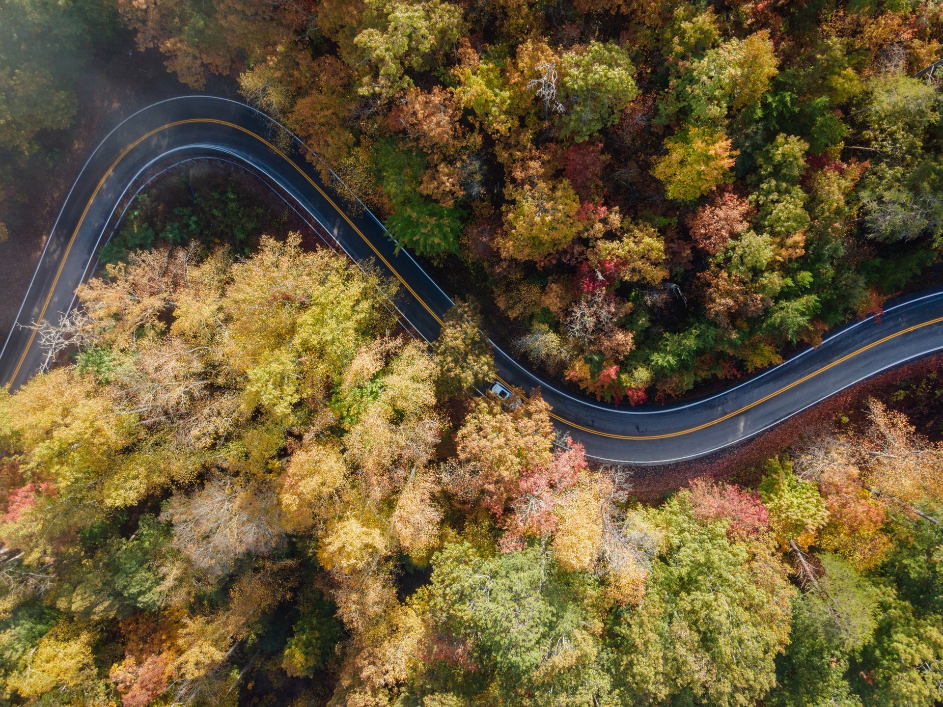 Winding road through a forest in autumn, with vibrant yellow, orange, and green foliage.