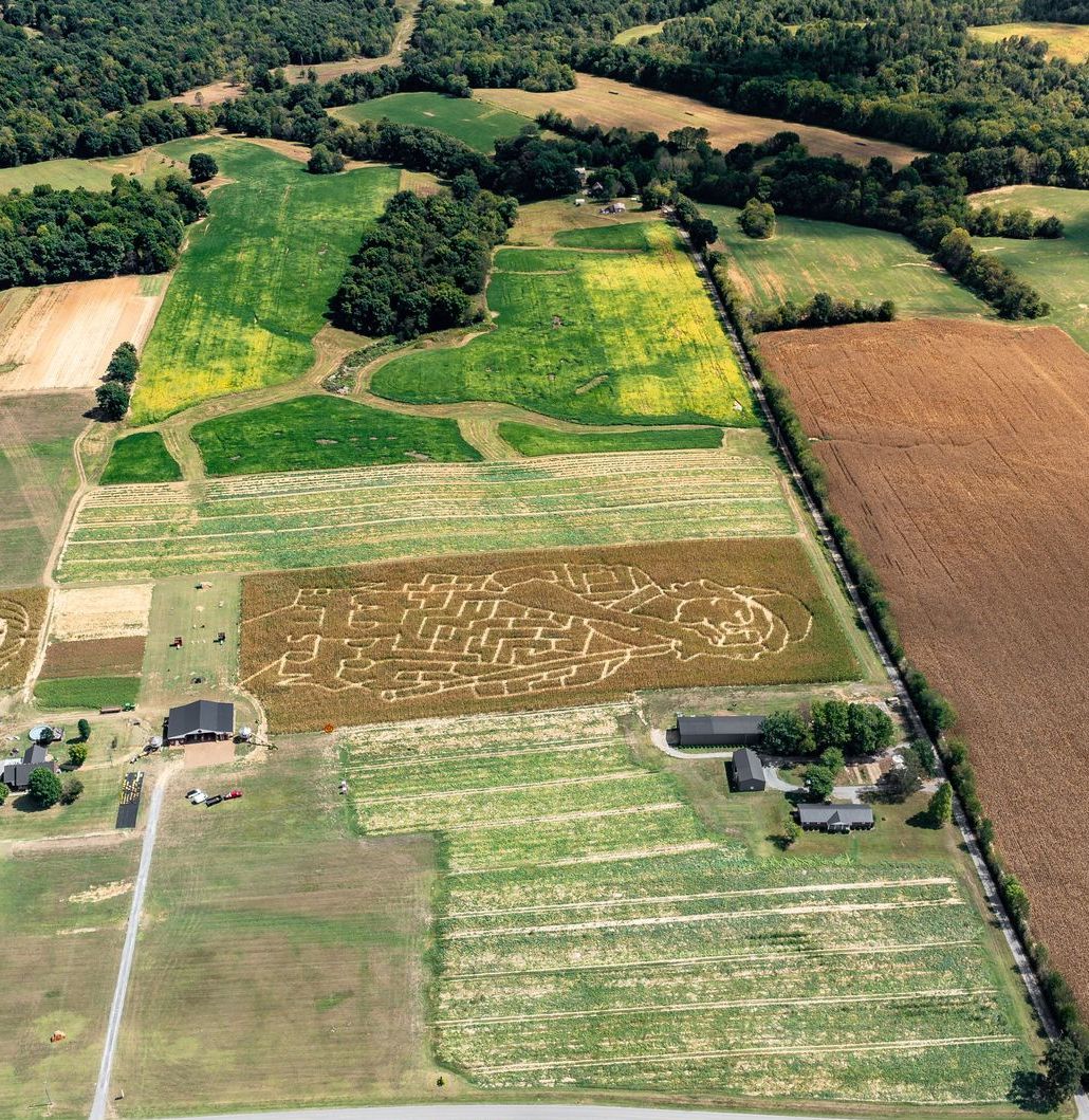An aerial view of a farm with lots of fields and trees