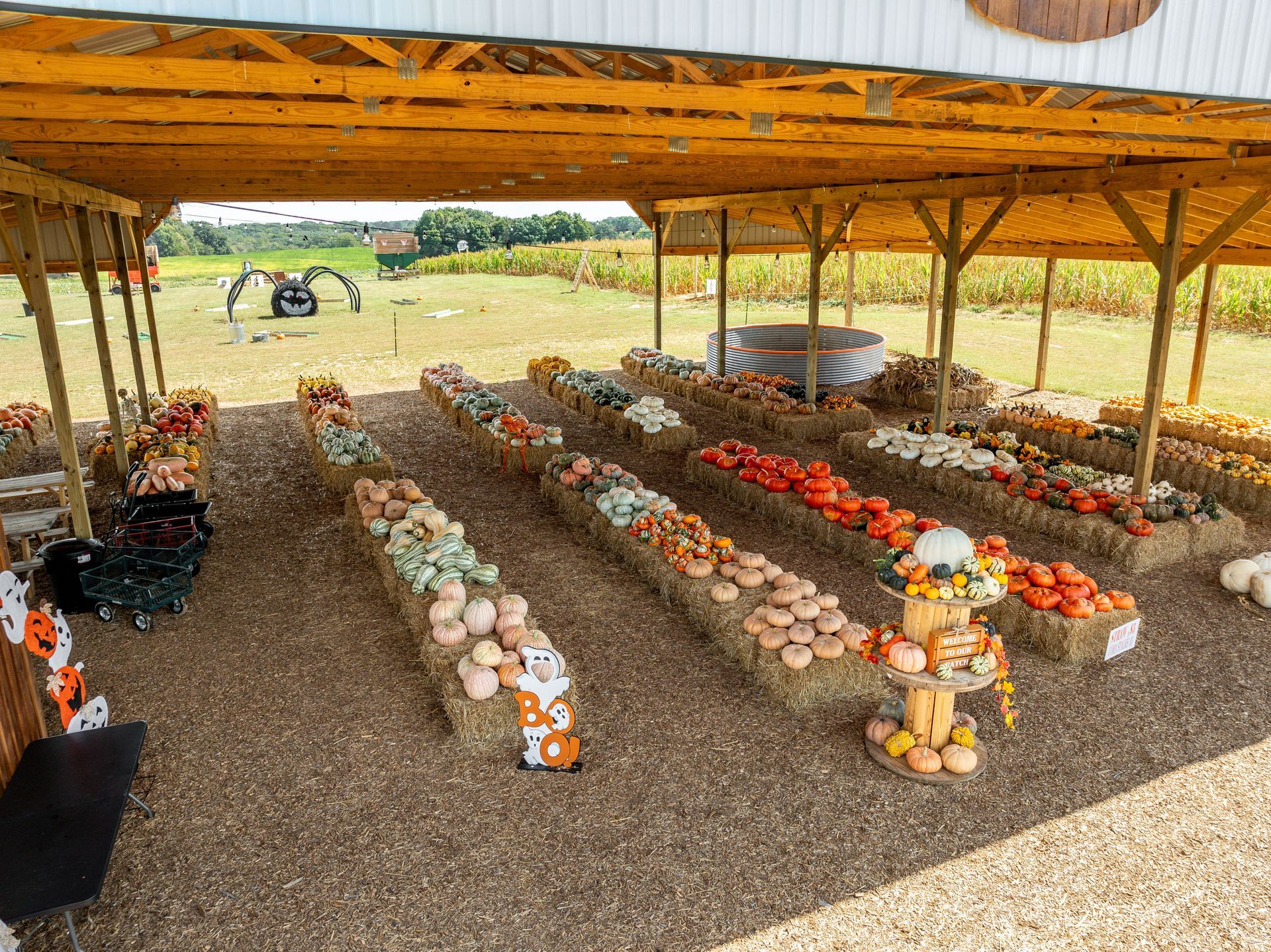 A pumpkin patch filled with lots of pumpkins and gourds under a covered area.