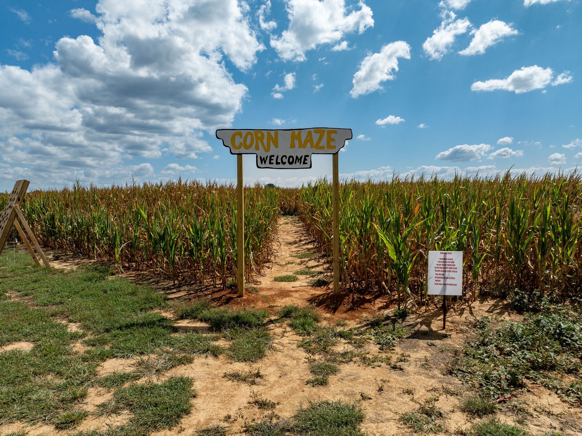 There is a corn maze in the middle of a field.