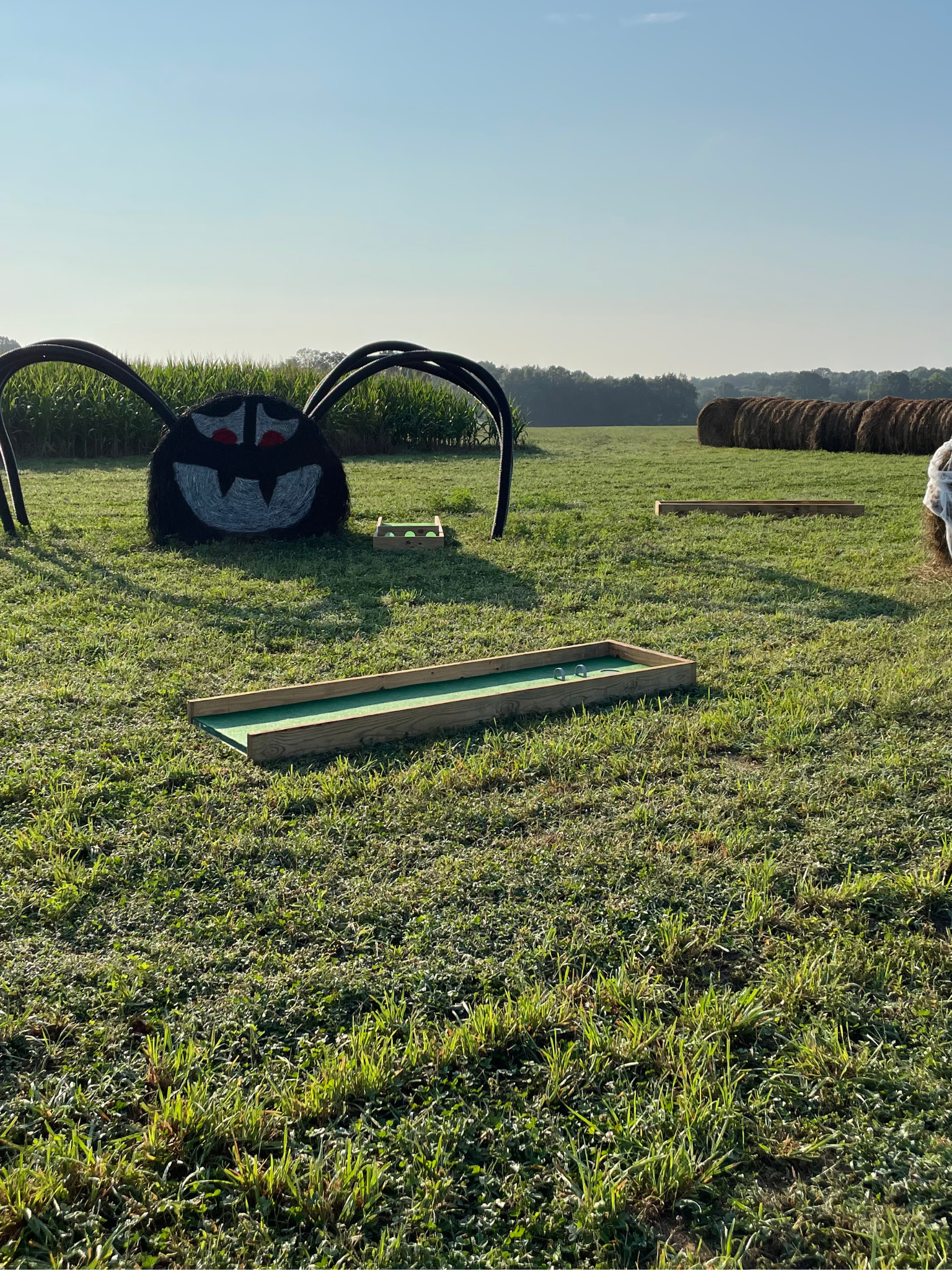 A person is standing in a field with a bunch of hay bales in the background.