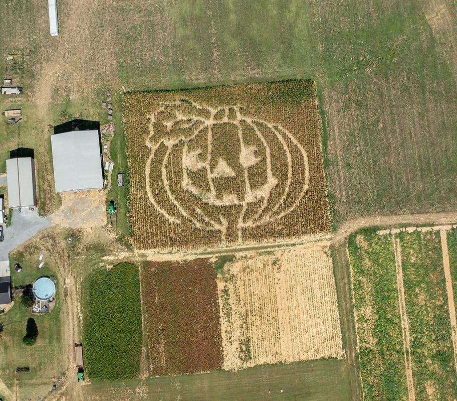 A maze made out of hay bales on a lush green field.