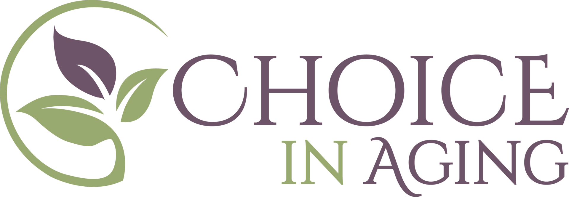 Click here to view Choice in Aging's homepage.