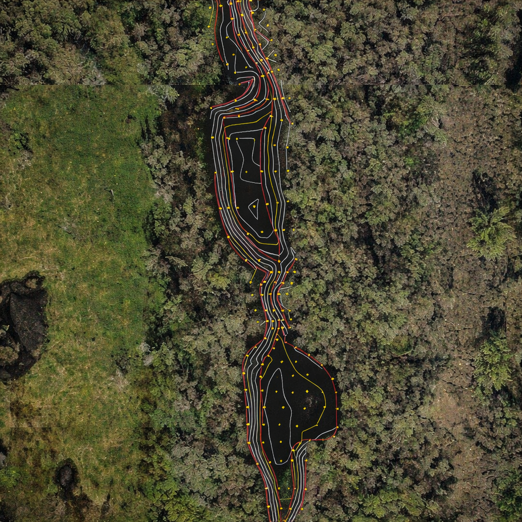 Aerial view of a forest with two long, multicolored lined clearings cutting through the trees
