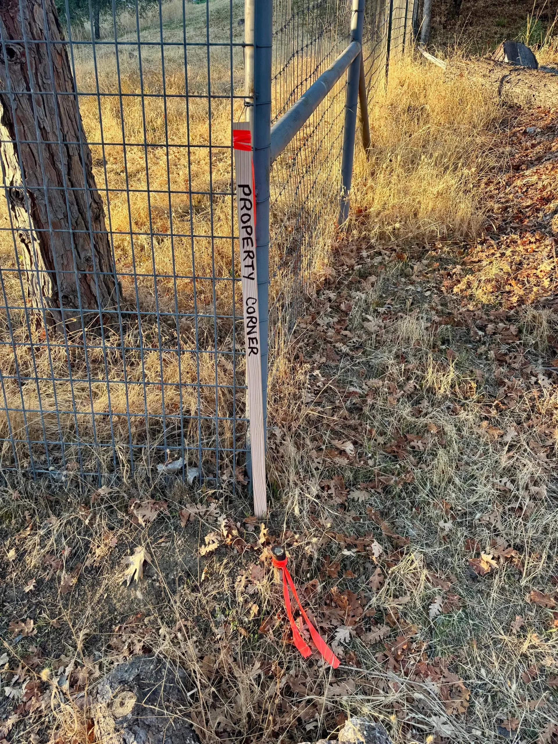 A wooden stake labeled 