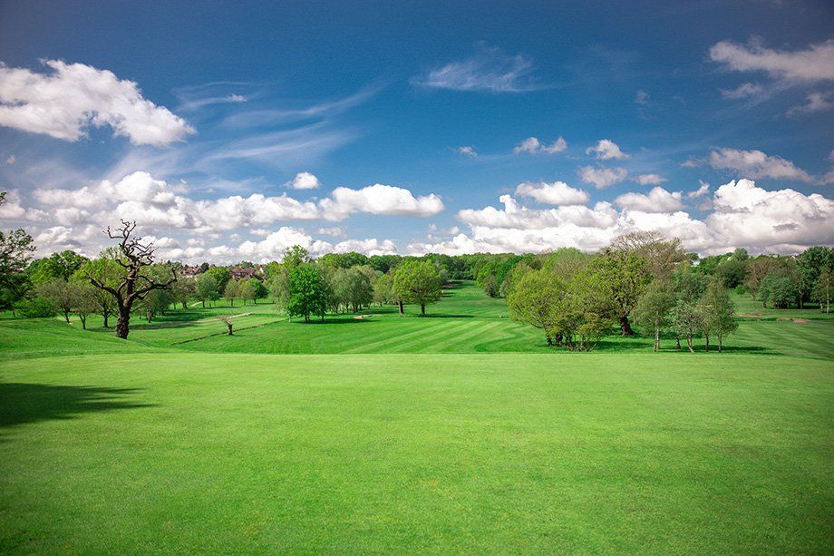 golf course view 5
