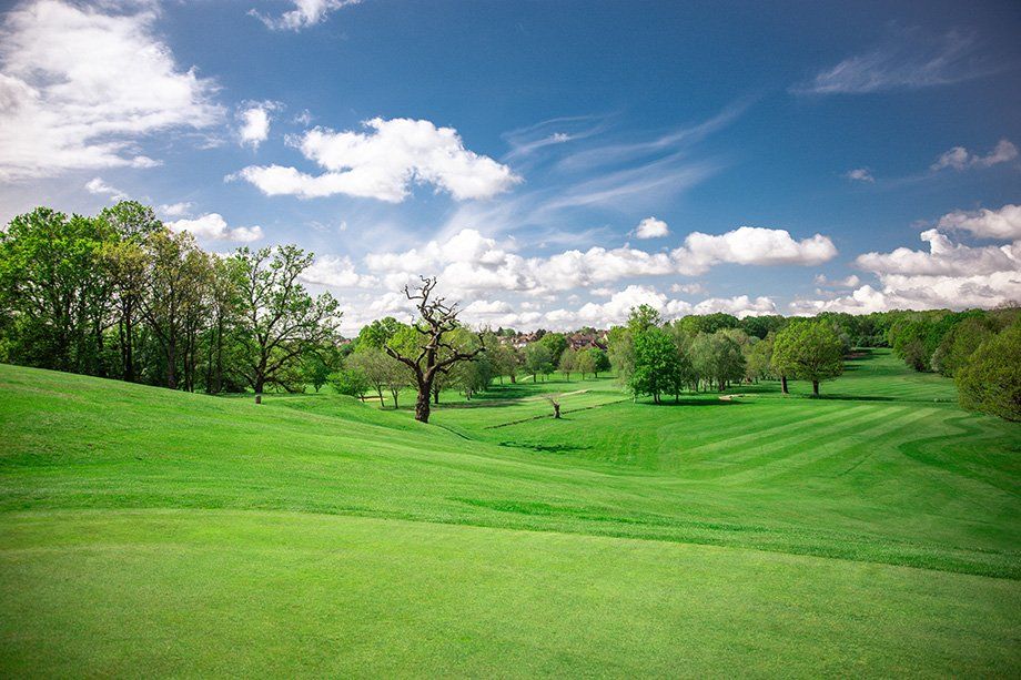 golf course view 10