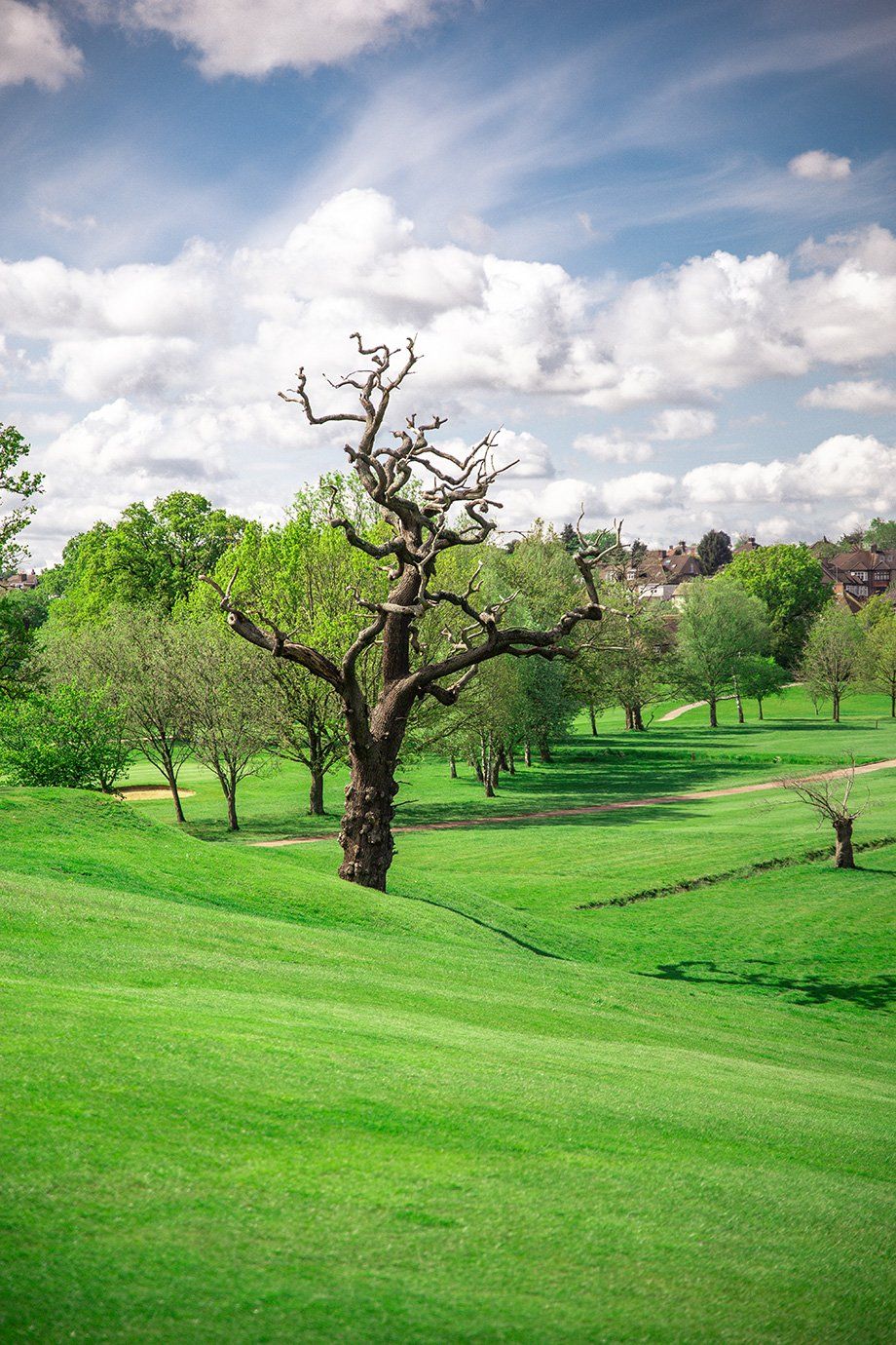 golf course view 4