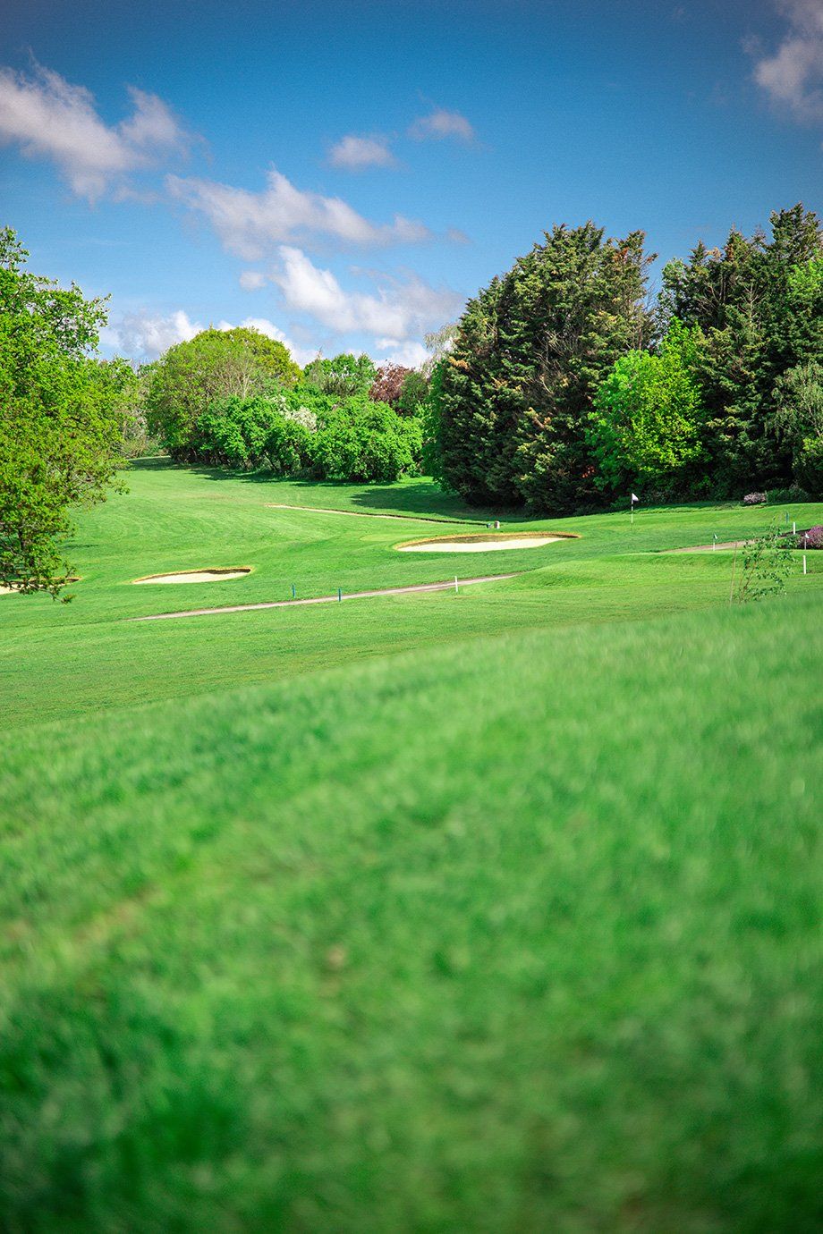 golf course view 3