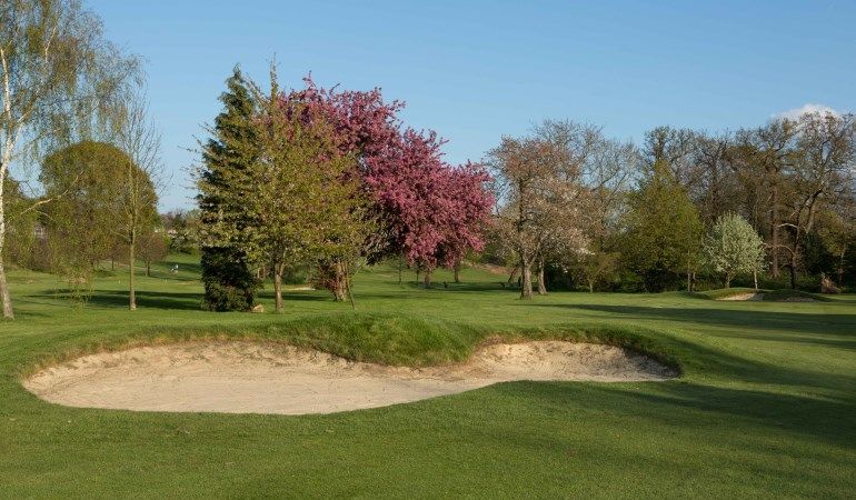 golf course 4