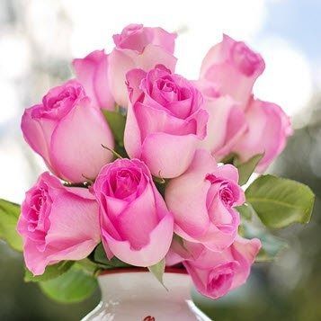 Pink and white rose bouquet against a soft blurred background