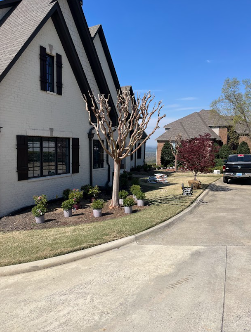 Suburban house with driveway, manicured lawn, pruned tree, and a parked car under a clear blue sky