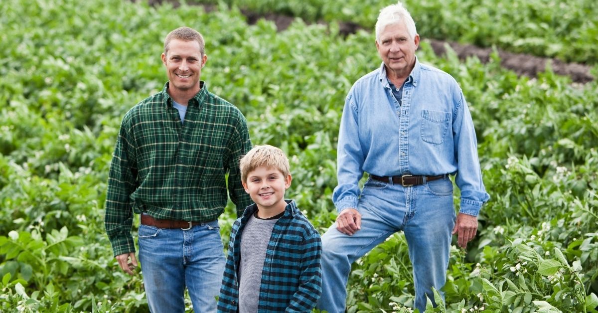 Three generations of an Australian farming family standing together in a crop field, representing fa