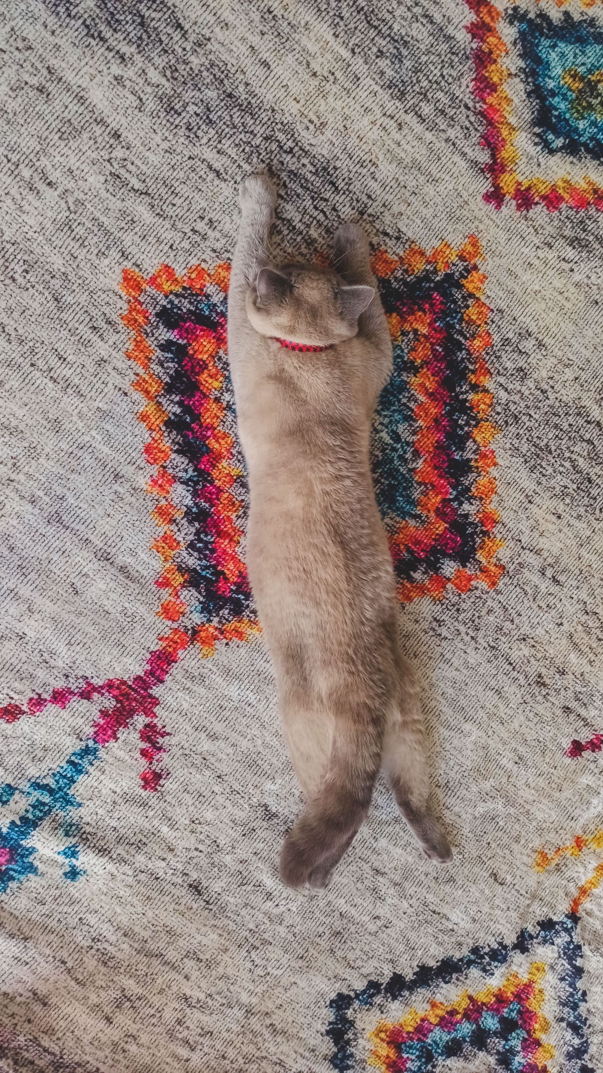 Red vacuum cleaner under a wooden cabinet on a rug beside a bare foot
