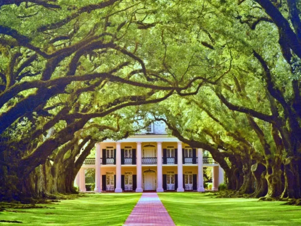 A house surrounded by trees with a red carpet in front of it