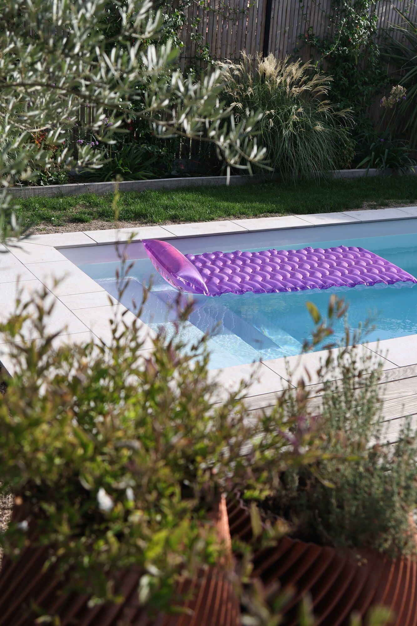 Mini-piscine entourée de végétaux persistants, jardin de maison neuve à Vertou