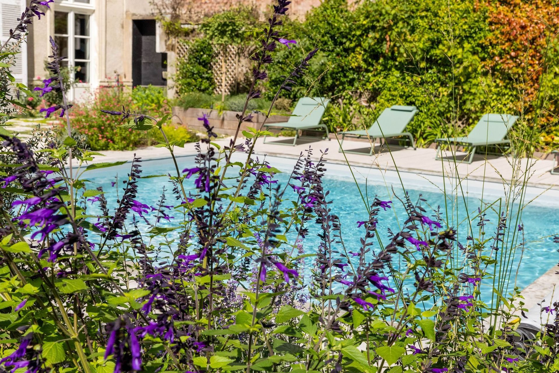 Piscine carrée aux margelles en pierre naturelle et salvias dans un jardin de ville à Nantes