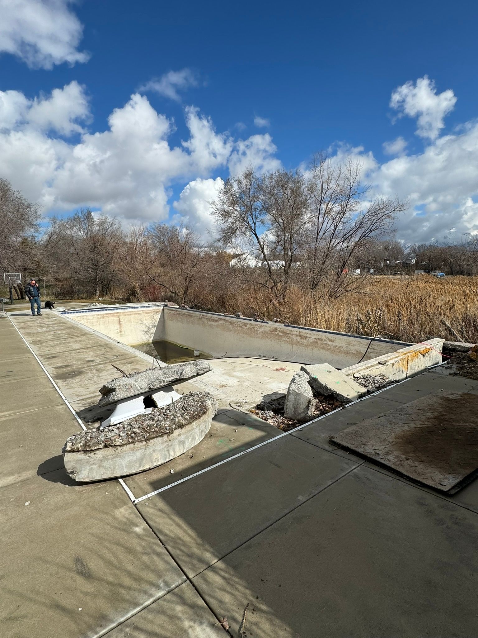 An empty, weathered concrete swimming pool surrounded by a paved deck, dry vegetation, and bare trees under a cloudy sky.