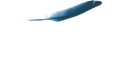 Fast Sleep by Slaviero Fast Sleep by Slaviero