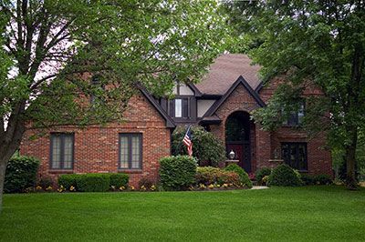 new braunfels tree service pros ball moss removal