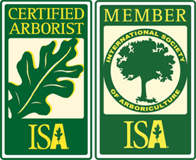 new braunfels texas certified arborist